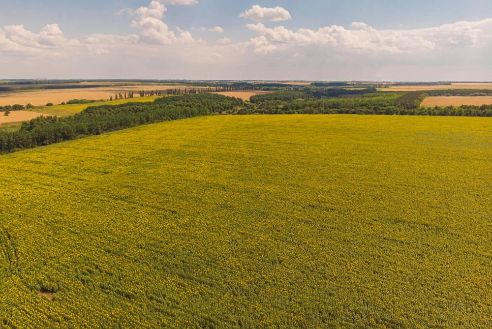 Land Property